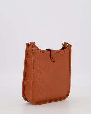 Hermès Mini Evelyne 16 Amazone in Cuivre Clemence Leather with Gold Hardware