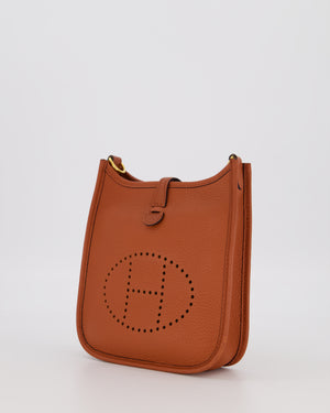 Hermès Mini Evelyne 16 Amazone in Cuivre Clemence Leather with Gold Hardware