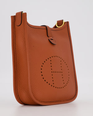 Hermès Mini Evelyne 16 Amazone in Cuivre Clemence Leather with Gold Hardware