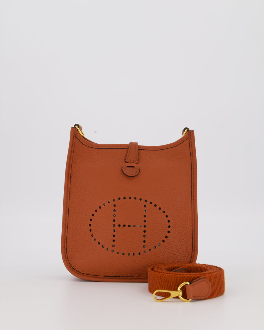Hermès Mini Evelyne 16 Amazone in Cuivre Clemence Leather with Gold Hardware
