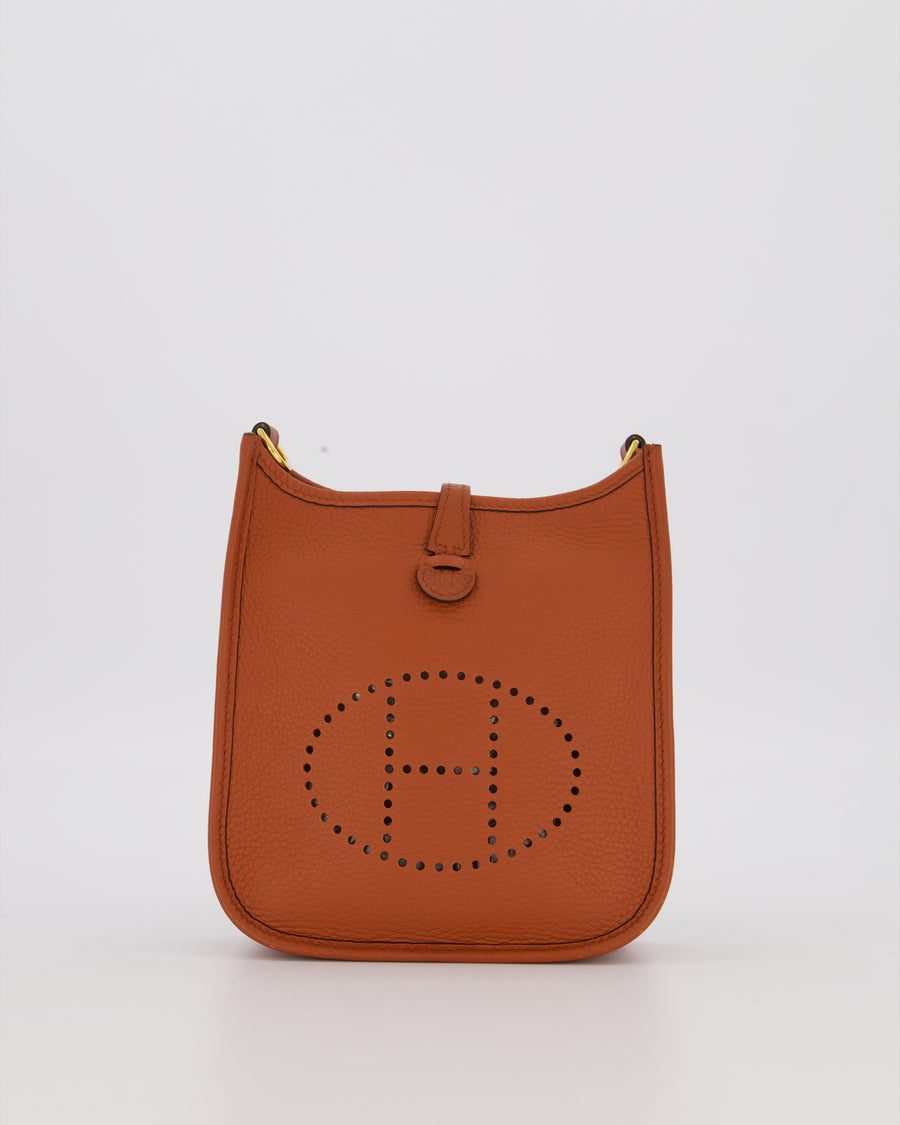 Hermès Mini Evelyne 16 Amazone in Cuivre Clemence Leather with Gold Hardware