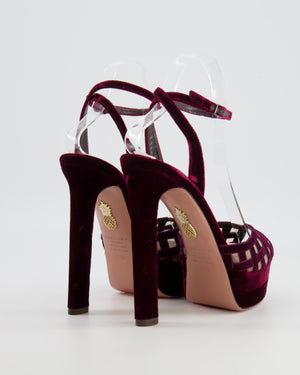 Aquazzura Romance Plateau 130 Heeled Sandals in Wine Red Velvet and Mesh Cage Detail Size EU 37.5 RRP £890