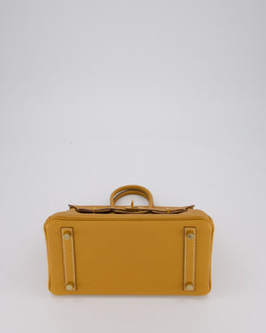 *RARE* Hermès Birkin 25 Bag in Naturel Sable Togo Leather with Gold Hardware