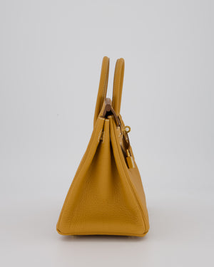 *RARE* Hermès Birkin 25 Bag in Naturel Sable Togo Leather with Gold Hardware