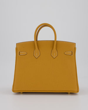 *RARE* Hermès Birkin 25 Bag in Naturel Sable Togo Leather with Gold Hardware