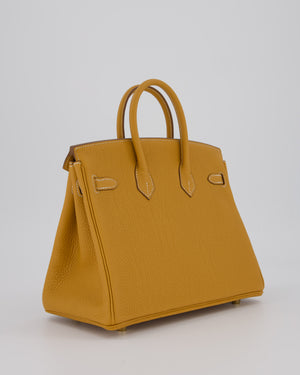 *RARE* Hermès Birkin 25 Bag in Naturel Sable Togo Leather with Gold Hardware