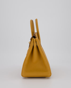 *RARE* Hermès Birkin 25 Bag in Naturel Sable Togo Leather with Gold Hardware