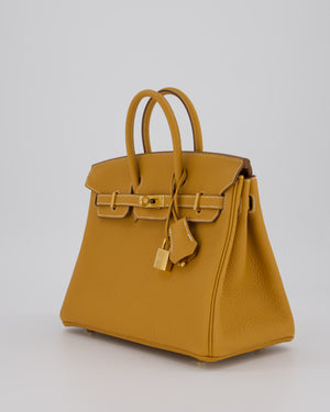 *RARE* Hermès Birkin 25 Bag in Naturel Sable Togo Leather with Gold Hardware