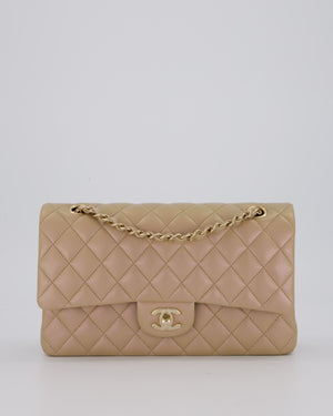 Chanel Iridescent Beige Classic Medium Double Flap Bag in Caviar Leather with Gold Hardware