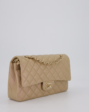 Chanel Iridescent Beige Classic Medium Double Flap Bag in Caviar Leather with Gold Hardware