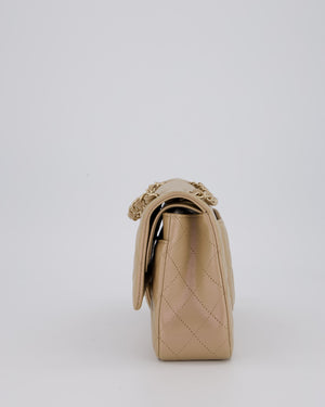 Chanel Iridescent Beige Classic Medium Double Flap Bag in Caviar Leather with Gold Hardware