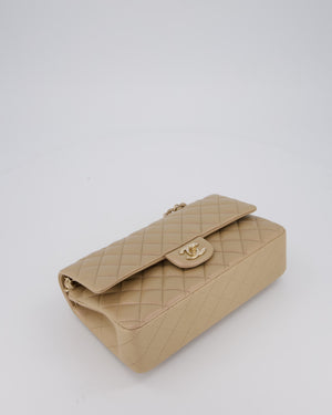 Chanel Iridescent Beige Classic Medium Double Flap Bag in Caviar Leather with Gold Hardware