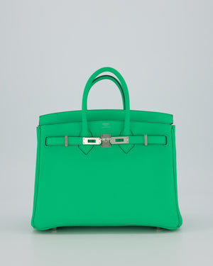 Hermès Birkin 25 Retourne Bag in Vert Comics Togo Leather with Palladium Hardware