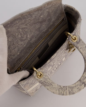 Christian Lady Dior Grey Medium Toile de Jouy Reverse Motif Bag in Embroidered Cannage Canvas with Champagne Gold Hardware