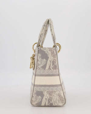 Christian Lady Dior Grey Medium Toile de Jouy Reverse Motif Bag in Embroidered Cannage Canvas with Champagne Gold Hardware