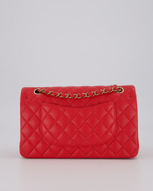 Chanel Medium Strawberry Red Classic Double Flap Bag in Lambskin Leather with Champagne Hardware