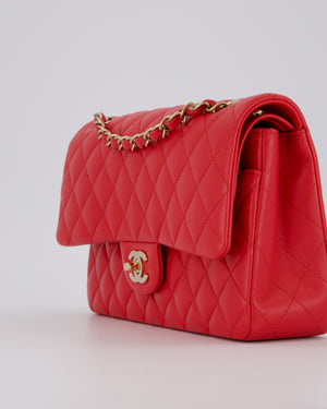 Chanel Medium Strawberry Red Classic Double Flap Bag in Lambskin Leather with Champagne Hardware