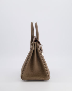 Hermès Birkin 25 Retourne Bag in Etoupe Togo Leather with Palladium Hardware