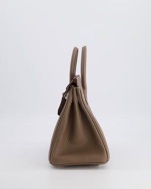 Hermès Birkin 25 Retourne Bag in Etoupe Togo Leather with Palladium Hardware