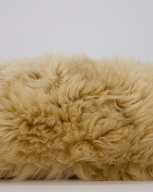 Bottega Veneta Chain Pouch Bag in Beige Sheepskin Shearling with Gold Hardware