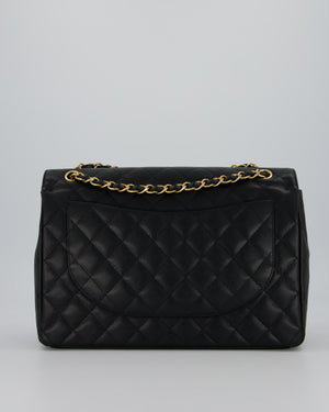 Chanel Maxi Classic Double Flap Bag in Black Caviar Leather with Gold Hardware RRP £11,650