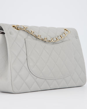 Chanel Light Grey Medium Classic Double Flap Bag in Caviar Leather with Champagne Gold Hardware