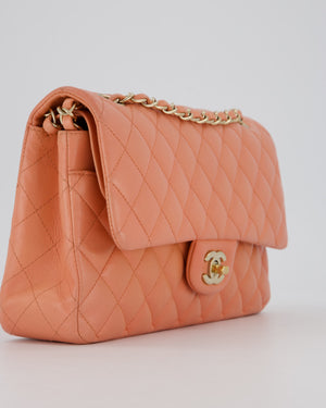 Chanel Peach Pink Medium Classic Double Flap Bag in Lambskin Leather with Champagne Gold Hardware