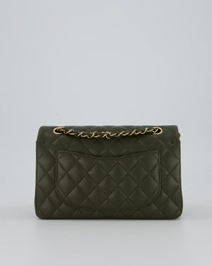 Chanel Olive Green Small Classic Double Flap Bag in Lambskin Leather with Champagne Gold Hardware