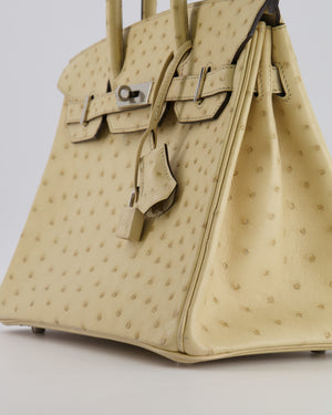 Hermès Birkin 30 Retourne Bag in Parchemin Ostrich Leather with Palladium Hardware
