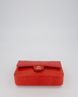 Chanel Red Medium Classic Double Flap Bag in Python with Champagne Gold Hardware