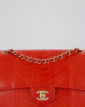 Chanel Red Medium Classic Double Flap Bag in Python with Champagne Gold Hardware