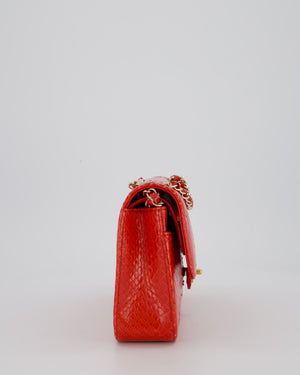 Chanel Red Medium Classic Double Flap Bag in Python with Champagne Gold Hardware