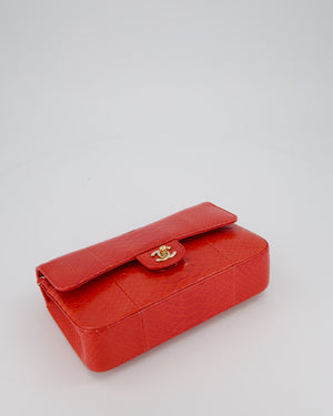 Chanel Red Medium Classic Double Flap Bag in Python with Champagne Gold Hardware
