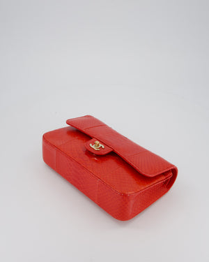 Chanel Red Medium Classic Double Flap Bag in Python with Champagne Gold Hardware
