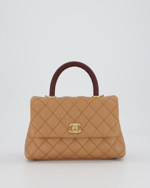 Chanel Small Coco Top Handle Bag in Beige Caviar Leather with Burgundy Lizard Handle and Brushed Gold Hardware