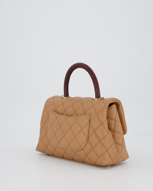 Chanel Small Coco Top Handle Bag in Beige Caviar Leather with Burgundy Lizard Handle and Brushed Gold Hardware