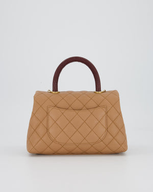 Chanel Small Coco Top Handle Bag in Beige Caviar Leather with Burgundy Lizard Handle and Brushed Gold Hardware