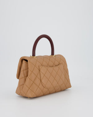 Chanel Small Coco Top Handle Bag in Beige Caviar Leather with Burgundy Lizard Handle and Brushed Gold Hardware