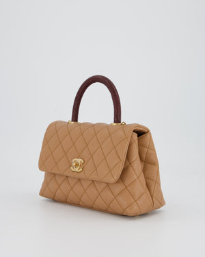 Chanel Small Coco Top Handle Bag in Beige Caviar Leather with Burgundy Lizard Handle and Brushed Gold Hardware