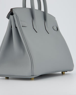 Hermès Birkin 25 Retourne Bag in Gris Pantin Swift Leather with Permabrass Hardware