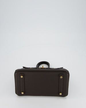 *HOT COLOUR* Hermès Birkin 25 Retourne Bag in Bai Brun Togo Leather with Gold Hardware
