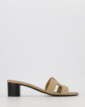 Hermès Oasis Sandals in Trench Jungle Love Printed in Lambskin Leather Size EU 41.5