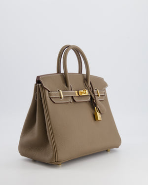 Hermès Birkin 25 Retourne Bag in Etoupe Togo Leather with Gold Hardware