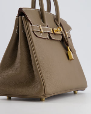 Hermès Birkin 25 Retourne Bag in Etoupe Togo Leather with Gold Hardware