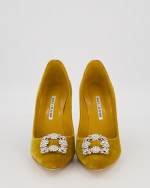 Manolo Blahnik Yellow Velvet Hangisi Heels with Crystal Buckle Detail Size EU 42