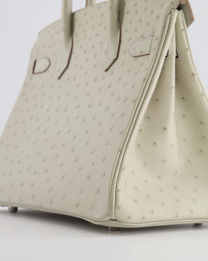 Hermès Birkin 30 Retourne Bag in Gris Perle Ostrich Leather with Palladium Hardware