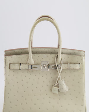 Hermès Birkin 30 Retourne Bag in Gris Perle Ostrich Leather with Palladium Hardware