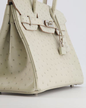Hermès Birkin 30 Retourne Bag in Gris Perle Ostrich Leather with Palladium Hardware