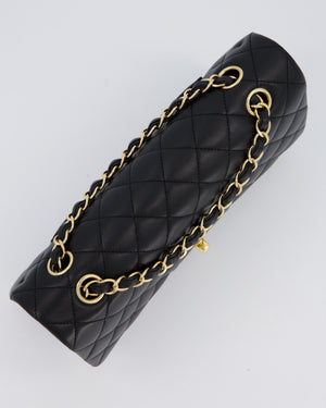 Chanel Black Medium Classic Double Flap Bag in Lambskin Leather with Gold Hardware