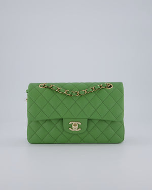 Chanel Apple Green Small Classic Double Flap Bag in Caviar Leather with Champagne Gold Hardware